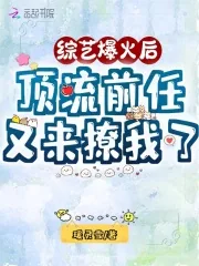 《综艺爆火后，顶流前任又来撩我了》小说封面