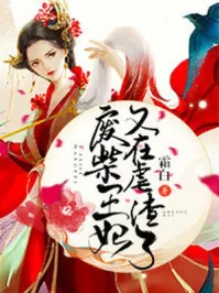 《废柴王妃又在虐渣了》小说封面