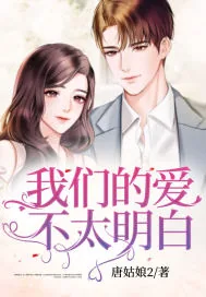 《我们的爱，不太明白》小说封面