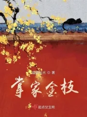 《掌家金枝》小说封面