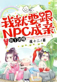 《我就要跟NPC成亲，你丫闭嘴！》小说封面