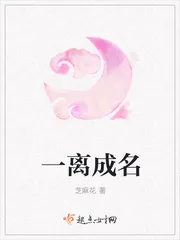 《一离成名》小说封面