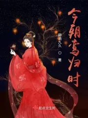 《今朝鸾归时》小说封面
