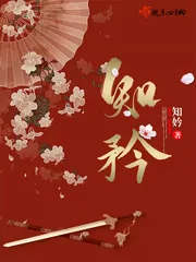 《知矜》小说封面