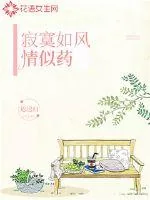《寂寞如风情似药》小说封面