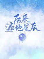 《后来遍地星辰》小说封面