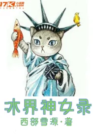 《冰界神女录》小说封面