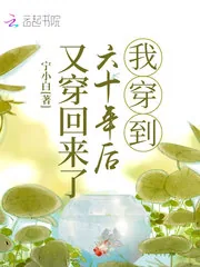 《我穿到六十年后又穿回来了》小说封面