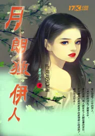 《月朗独伊人》小说封面
