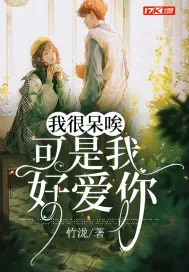 《我很呆唉，可是我好爱你》小说封面