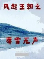 《风起王朝之落雪无声》小说封面