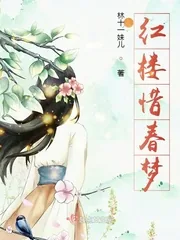 《红楼惜春梦》小说封面