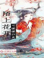 《陌上花开，可缓缓归矣》小说封面