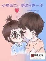 《少年派二:爱你只需一秒》小说封面