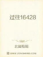 《在乱世引领你》小说封面