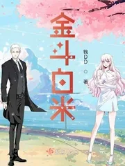 《金斗白米》小说封面