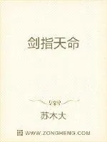 《剑指天命》小说封面