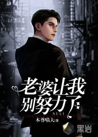 《老婆让我别努力了》小说封面