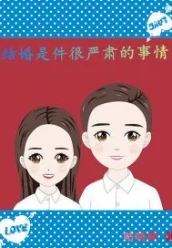 《结婚是件很严肃的事情》小说封面