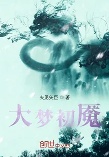 《大梦初魇》小说封面