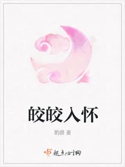 《皎皎入怀》小说封面