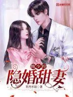 《韩少的隐婚甜妻》小说封面