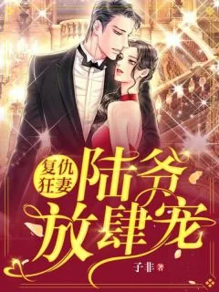 《洛晚陆寒川》小说封面