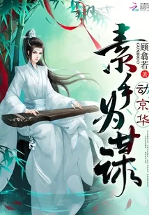 《素手为谋动京华》小说封面