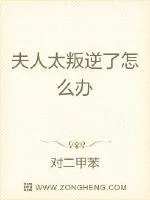 《夫人太叛逆了怎么办》小说封面