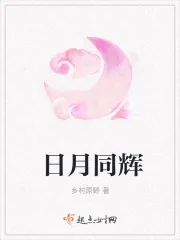 《日月同辉》小说封面