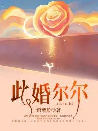 《此婚尔尔》小说封面