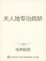 《夫人她专治病娇》小说封面