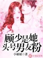《顾少是她头号男友粉》小说封面