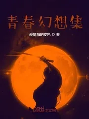 《青春幻想集》小说封面