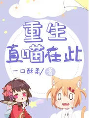 《重生直喵在此》小说封面