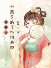 《穿越之小燕子成了我的女配》小说封面