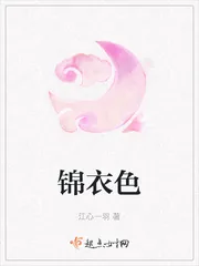 《锦衣色》小说封面