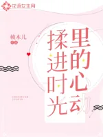 《揉进时光里的心动》小说封面