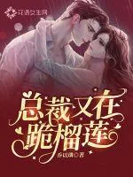 《总裁又在跪榴莲》小说封面