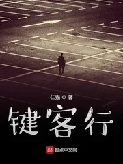 《键客行》小说封面