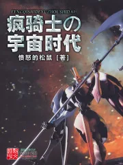 《疯骑士的宇宙时代》小说封面