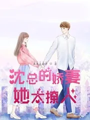 《沈总的娇妻她太撩人》小说封面