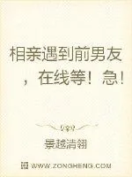 《相亲遇到前男友，在线等！急！》小说封面