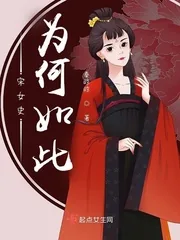 《宋女史为何如此》小说封面