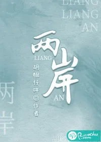 《两岸》小说封面