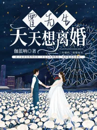 《霍先生天天想离婚》小说封面