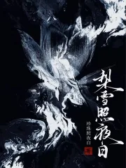《梨雪照夜白》小说封面