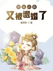 《我家小姐又被退婚了》小说封面