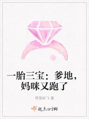 《一胎三宝：爹地，妈咪又跑了》小说封面
