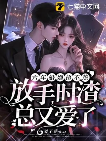 《六年婚姻失望至极,她走后渣总却疯了》小说封面